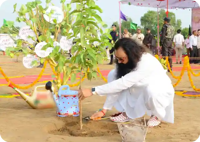 Who's Saint Dr. MSG